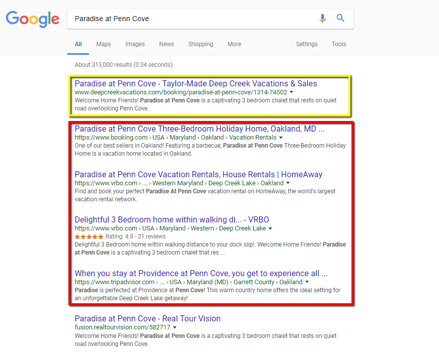Vacation Rental Property Brand Optimization showing SERPs